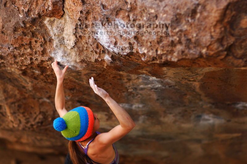 

Filename: SRM_20161124_1240382.jpg
Aperture: f/2.0
Shutter Speed: 1/1000
Body: Canon EOS-1D Mark II
Lens: Canon EF 85mm f/1.2 L II