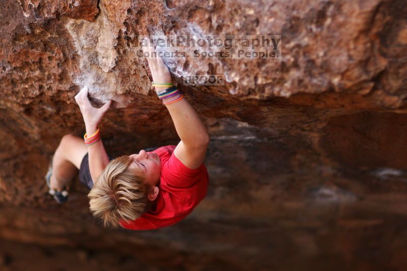 

Filename: SRM_20161124_1254081.jpg
Aperture: f/1.8
Shutter Speed: 1/640
Body: Canon EOS-1D Mark II
Lens: Canon EF 85mm f/1.2 L II