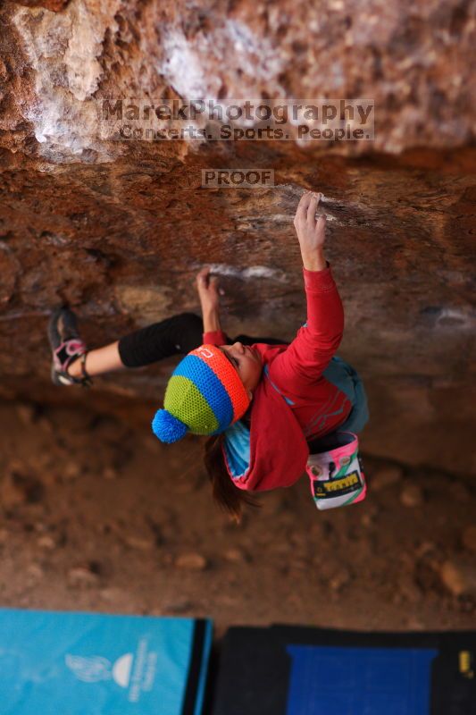 

Filename: SRM_20161124_1256201.jpg
Aperture: f/1.8
Shutter Speed: 1/640
Body: Canon EOS-1D Mark II
Lens: Canon EF 85mm f/1.2 L II