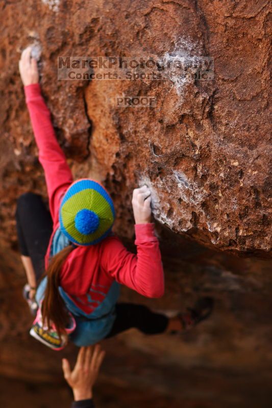 

Filename: SRM_20161124_1302010.jpg
Aperture: f/1.8
Shutter Speed: 1/1600
Body: Canon EOS-1D Mark II
Lens: Canon EF 85mm f/1.2 L II