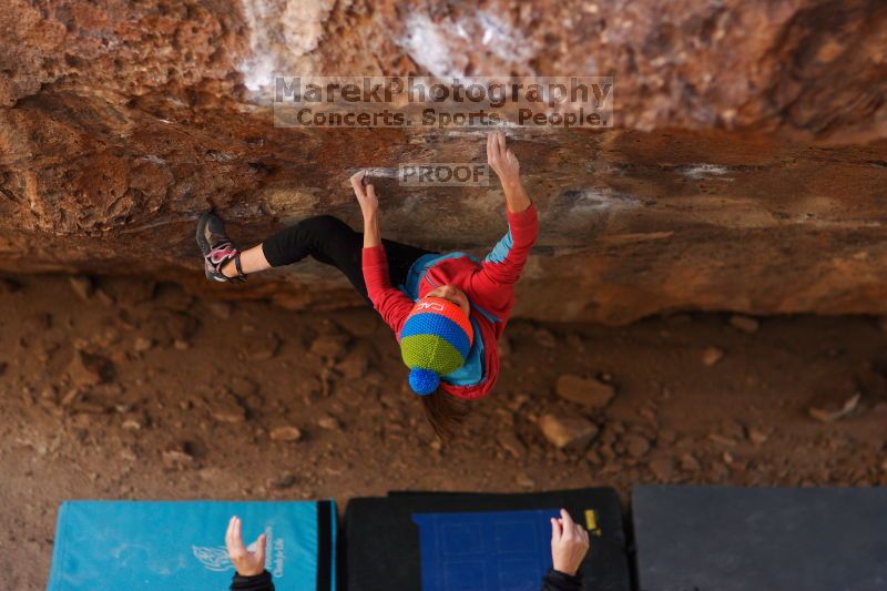 

Filename: SRM_20161124_1326360.jpg
Aperture: f/1.8
Shutter Speed: 1/1250
Body: Canon EOS-1D Mark II
Lens: Canon EF 85mm f/1.2 L II