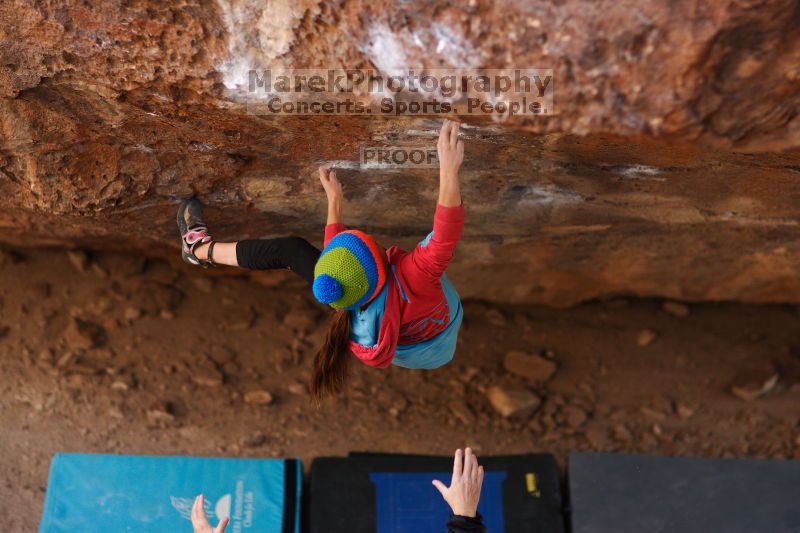 

Filename: SRM_20161124_1326370.jpg
Aperture: f/1.8
Shutter Speed: 1/1000
Body: Canon EOS-1D Mark II
Lens: Canon EF 85mm f/1.2 L II