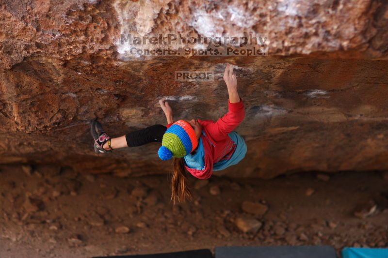 

Filename: SRM_20161124_1341471.jpg
Aperture: f/1.8
Shutter Speed: 1/640
Body: Canon EOS-1D Mark II
Lens: Canon EF 85mm f/1.2 L II