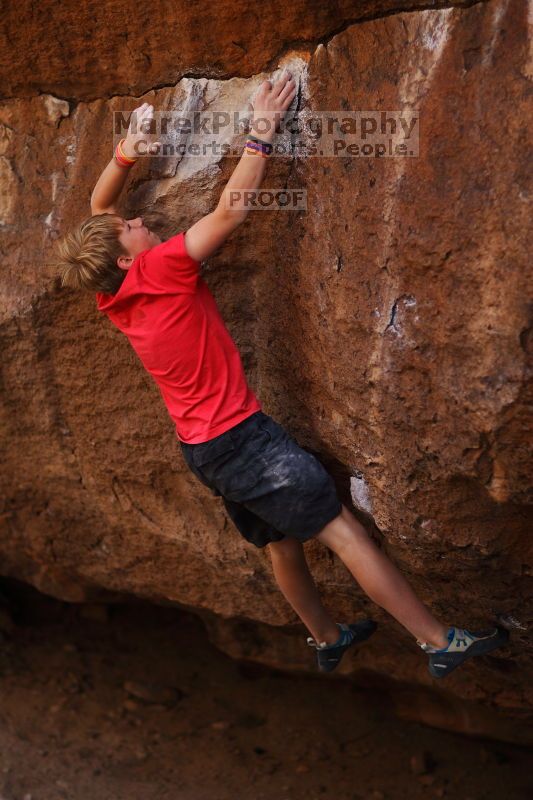 

Filename: SRM_20161124_1348360.jpg
Aperture: f/1.8
Shutter Speed: 1/800
Body: Canon EOS-1D Mark II
Lens: Canon EF 85mm f/1.2 L II