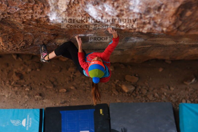 

Filename: SRM_20161124_1354051.jpg
Aperture: f/1.8
Shutter Speed: 1/400
Body: Canon EOS-1D Mark II
Lens: Canon EF 85mm f/1.2 L II