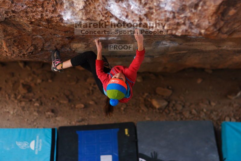 

Filename: SRM_20161124_1354052.jpg
Aperture: f/1.8
Shutter Speed: 1/400
Body: Canon EOS-1D Mark II
Lens: Canon EF 85mm f/1.2 L II