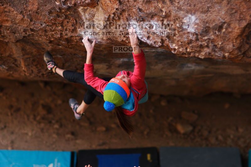 

Filename: SRM_20161124_1354141.jpg
Aperture: f/1.8
Shutter Speed: 1/500
Body: Canon EOS-1D Mark II
Lens: Canon EF 85mm f/1.2 L II