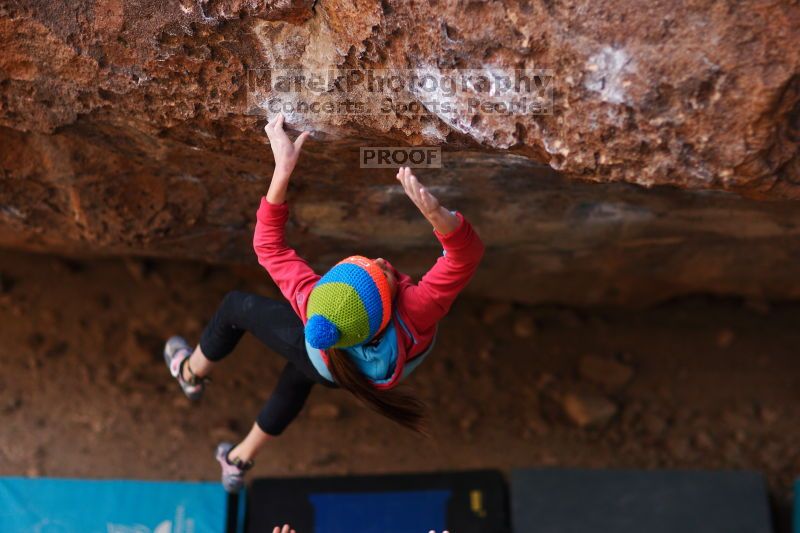 

Filename: SRM_20161124_1354142.jpg
Aperture: f/1.8
Shutter Speed: 1/500
Body: Canon EOS-1D Mark II
Lens: Canon EF 85mm f/1.2 L II