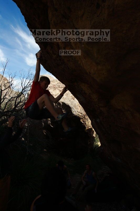 

Filename: SRM_20161124_1449570.jpg
Aperture: f/8.0
Shutter Speed: 1/200
Body: Canon EOS-1D Mark II
Lens: Canon EF 16-35mm f/2.8 L