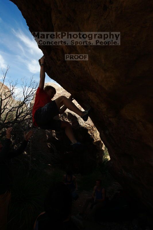 

Filename: SRM_20161124_1449571.jpg
Aperture: f/8.0
Shutter Speed: 1/200
Body: Canon EOS-1D Mark II
Lens: Canon EF 16-35mm f/2.8 L