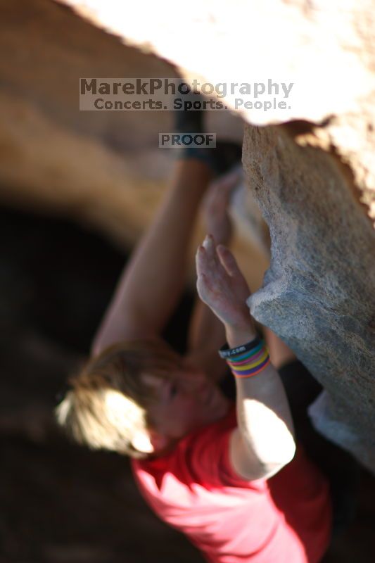

Filename: SRM_20161124_1659000.jpg
Aperture: f/1.2
Shutter Speed: 1/1000
Body: Canon EOS-1D Mark II
Lens: Canon EF 85mm f/1.2 L II