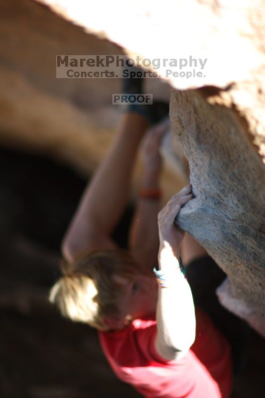 

Filename: SRM_20161124_1659001.jpg
Aperture: f/1.2
Shutter Speed: 1/1000
Body: Canon EOS-1D Mark II
Lens: Canon EF 85mm f/1.2 L II