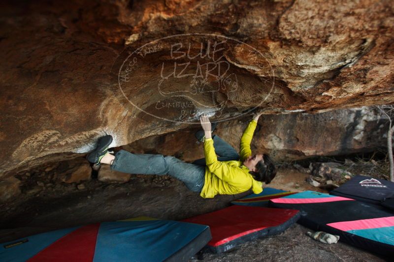 

Filename: SRM_20161210_1827011.jpg
Aperture: f/2.8
Shutter Speed: 1/200
Body: Canon EOS-1D Mark II
Lens: Canon EF 16-35mm f/2.8 L