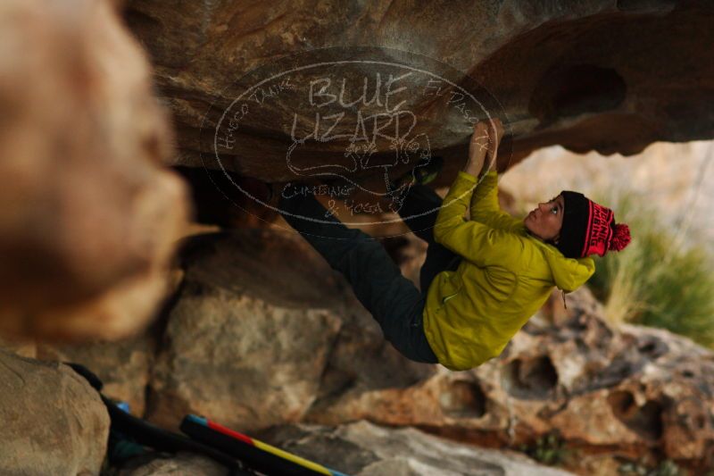 

Filename: SRM_20161210_1911520.jpg
Aperture: f/2.0
Shutter Speed: 1/500
Body: Canon EOS-1D Mark II
Lens: Canon EF 85mm f/1.2 L II
