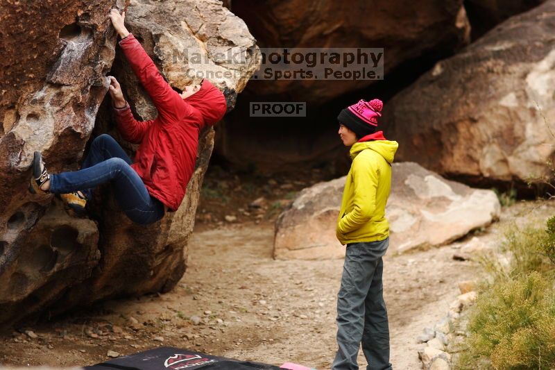 

Filename: SRM_20161209_1221060.jpg
Aperture: f/2.0
Shutter Speed: 1/1250
Body: Canon EOS-1D Mark II
Lens: Canon EF 85mm f/1.2 L II