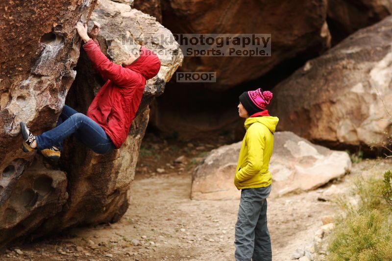 

Filename: SRM_20161209_1221061.jpg
Aperture: f/2.0
Shutter Speed: 1/1000
Body: Canon EOS-1D Mark II
Lens: Canon EF 85mm f/1.2 L II