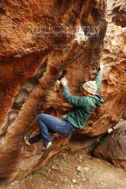 

Filename: SRM_20161209_1237371.jpg
Aperture: f/4.0
Shutter Speed: 1/250
Body: Canon EOS-1D Mark II
Lens: Canon EF 16-35mm f/2.8 L