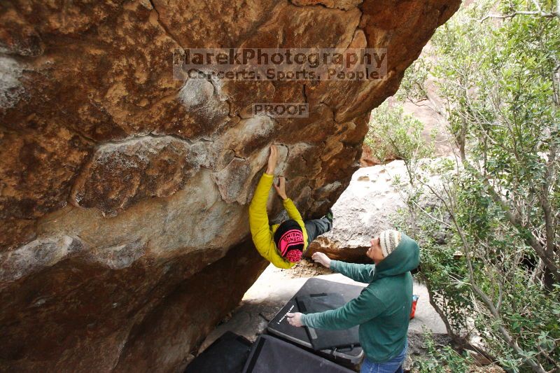 

Filename: SRM_20161209_1401150.jpg
Aperture: f/4.0
Shutter Speed: 1/320
Body: Canon EOS-1D Mark II
Lens: Canon EF 16-35mm f/2.8 L