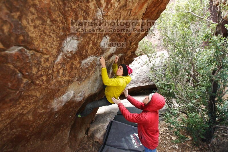

Filename: SRM_20161209_1428401.jpg
Aperture: f/2.8
Shutter Speed: 1/400
Body: Canon EOS-1D Mark II
Lens: Canon EF 16-35mm f/2.8 L