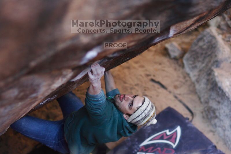 

Filename: SRM_20161209_1656550.jpg
Aperture: f/1.8
Shutter Speed: 1/640
Body: Canon EOS-1D Mark II
Lens: Canon EF 85mm f/1.2 L II