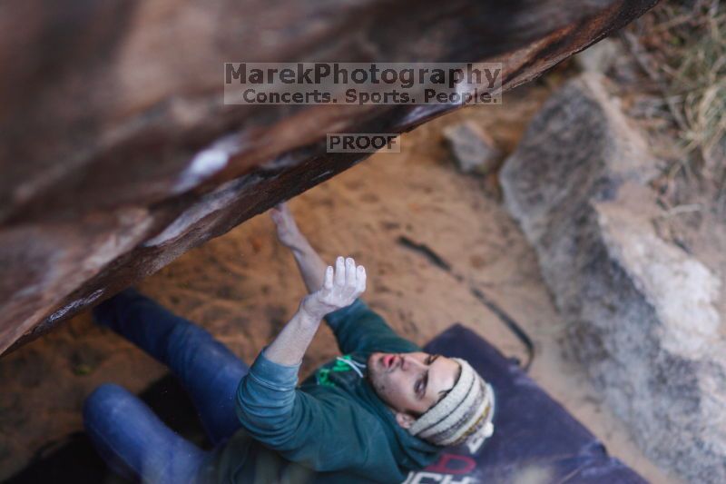 

Filename: SRM_20161209_1656553.jpg
Aperture: f/1.8
Shutter Speed: 1/640
Body: Canon EOS-1D Mark II
Lens: Canon EF 85mm f/1.2 L II