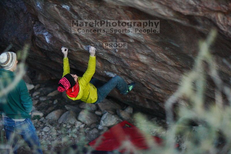 

Filename: SRM_20161209_1931220.jpg
Aperture: f/1.2
Shutter Speed: 1/200
Body: Canon EOS-1D Mark II
Lens: Canon EF 85mm f/1.2 L II