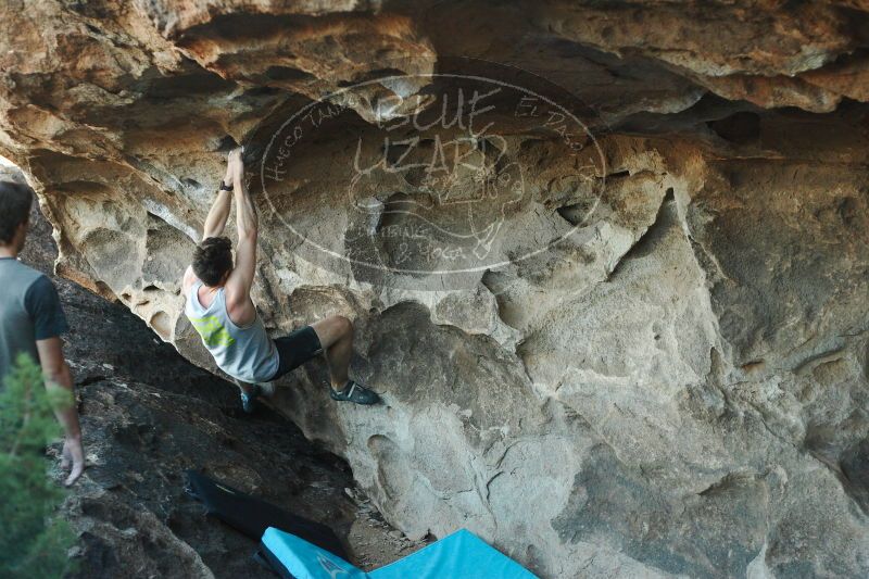 

Filename: SRM_20161215_1835100.jpg
Aperture: f/2.8
Shutter Speed: 1/400
Body: Canon EOS-1D Mark II
Lens: Canon EF 50mm f/1.8 II