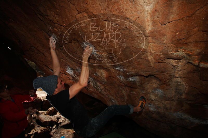 

Filename: SRM_20161226_1447421.jpg
Aperture: f/8.0
Shutter Speed: 1/250
Body: Canon EOS-1D Mark II
Lens: Canon EF 16-35mm f/2.8 L