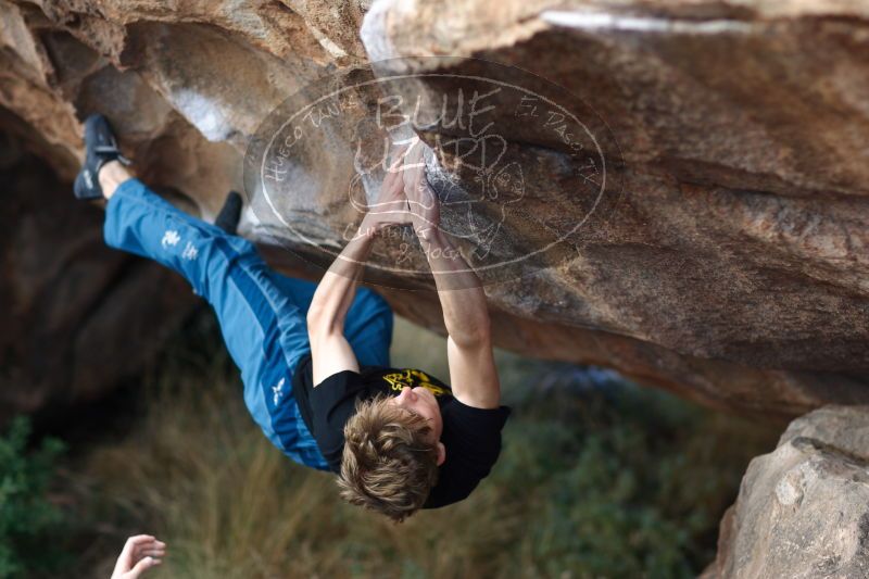 

Filename: SRM_20161225_1302570.jpg
Aperture: f/2.0
Shutter Speed: 1/400
Body: Canon EOS-1D Mark II
Lens: Canon EF 85mm f/1.2 L II