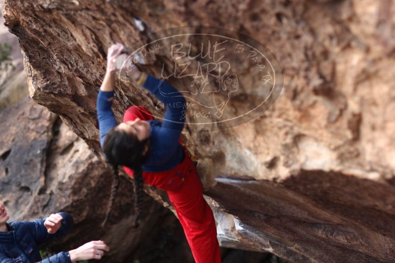 

Filename: SRM_20161225_1315130.jpg
Aperture: f/2.0
Shutter Speed: 1/500
Body: Canon EOS-1D Mark II
Lens: Canon EF 85mm f/1.2 L II