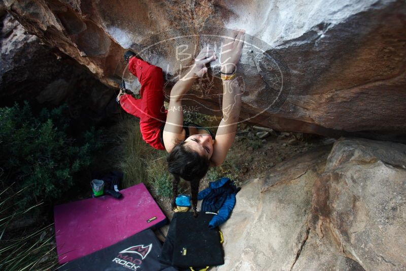 

Filename: SRM_20161225_1414210.jpg
Aperture: f/4.0
Shutter Speed: 1/500
Body: Canon EOS-1D Mark II
Lens: Canon EF 16-35mm f/2.8 L