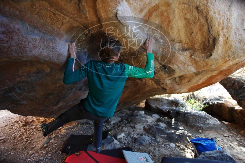 

Filename: SRM_20161225_1759530.jpg
Aperture: f/2.8
Shutter Speed: 1/200
Body: Canon EOS-1D Mark II
Lens: Canon EF 16-35mm f/2.8 L