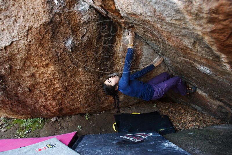 

Filename: SRM_20161223_1238560.jpg
Aperture: f/4.0
Shutter Speed: 1/160
Body: Canon EOS-1D Mark II
Lens: Canon EF 16-35mm f/2.8 L