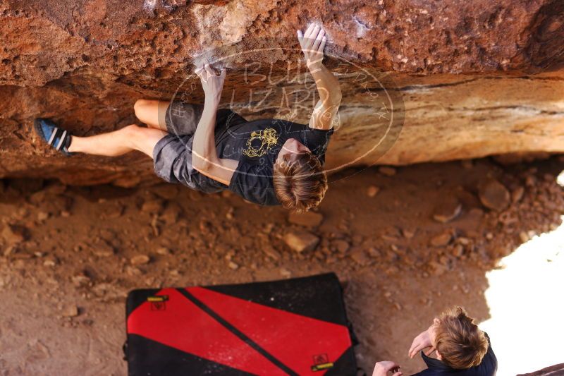 

Filename: SRM_20161223_1525264.jpg
Aperture: f/2.0
Shutter Speed: 1/500
Body: Canon EOS-1D Mark II
Lens: Canon EF 85mm f/1.2 L II