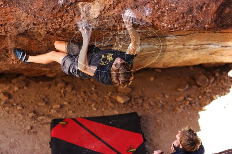 

Filename: SRM_20161223_1525265.jpg
Aperture: f/2.0
Shutter Speed: 1/500
Body: Canon EOS-1D Mark II
Lens: Canon EF 85mm f/1.2 L II