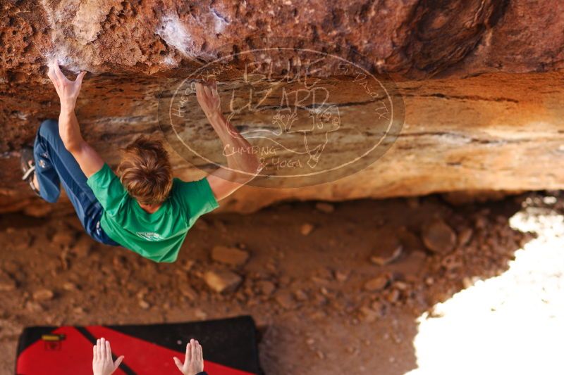 

Filename: SRM_20161223_1528521.jpg
Aperture: f/2.0
Shutter Speed: 1/500
Body: Canon EOS-1D Mark II
Lens: Canon EF 85mm f/1.2 L II