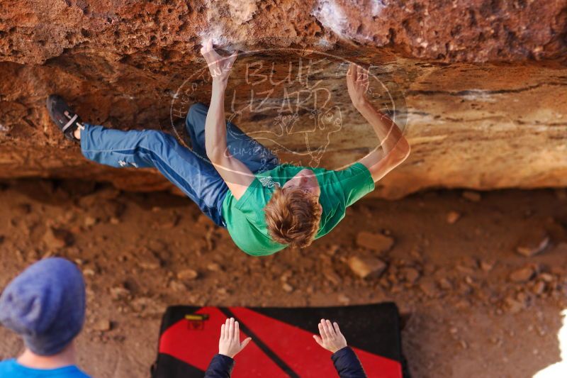 

Filename: SRM_20161223_1528580.jpg
Aperture: f/2.0
Shutter Speed: 1/500
Body: Canon EOS-1D Mark II
Lens: Canon EF 85mm f/1.2 L II