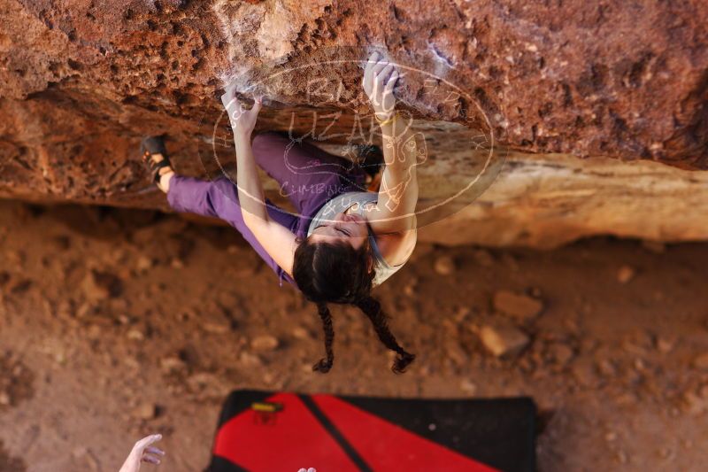 

Filename: SRM_20161223_1532432.jpg
Aperture: f/2.0
Shutter Speed: 1/500
Body: Canon EOS-1D Mark II
Lens: Canon EF 85mm f/1.2 L II