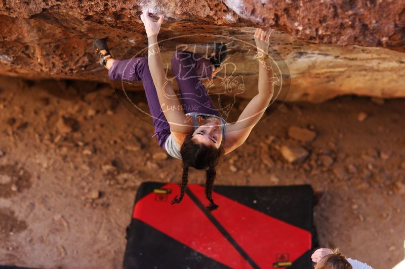 

Filename: SRM_20161223_1534470.jpg
Aperture: f/2.0
Shutter Speed: 1/500
Body: Canon EOS-1D Mark II
Lens: Canon EF 85mm f/1.2 L II