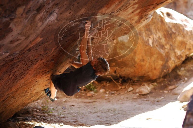 

Filename: SRM_20161223_1604440.jpg
Aperture: f/2.0
Shutter Speed: 1/400
Body: Canon EOS-1D Mark II
Lens: Canon EF 85mm f/1.2 L II