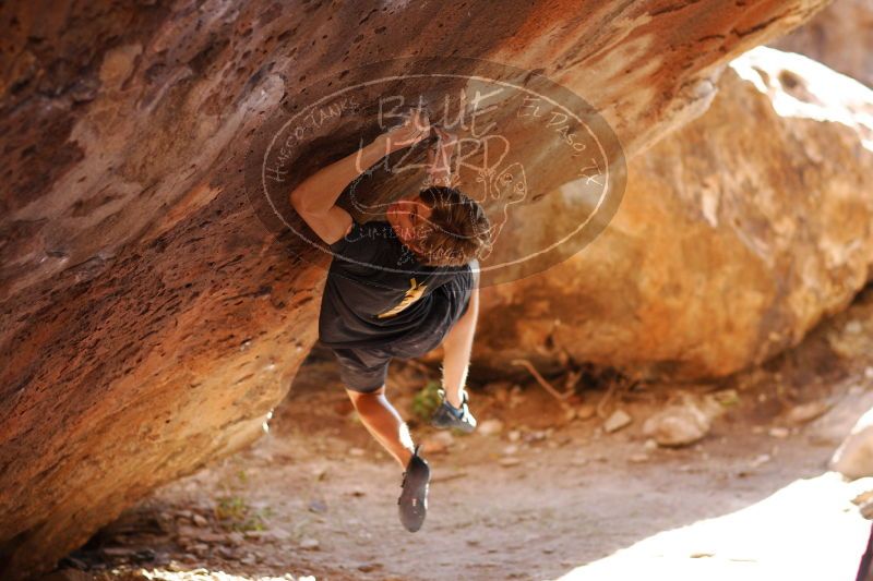 

Filename: SRM_20161223_1604471.jpg
Aperture: f/2.0
Shutter Speed: 1/400
Body: Canon EOS-1D Mark II
Lens: Canon EF 85mm f/1.2 L II