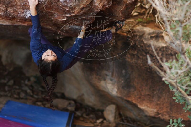 

Filename: SRM_20161223_1810380.jpg
Aperture: f/2.0
Shutter Speed: 1/500
Body: Canon EOS-1D Mark II
Lens: Canon EF 85mm f/1.2 L II