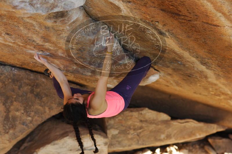 

Filename: SRM_20161226_1757231.jpg
Aperture: f/2.8
Shutter Speed: 1/320
Body: Canon EOS-1D Mark II
Lens: Canon EF 85mm f/1.2 L II