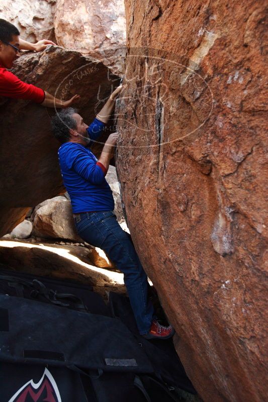 

Filename: SRM_20161228_1218160.jpg
Aperture: f/4.0
Shutter Speed: 1/250
Body: Canon EOS-1D Mark II
Lens: Canon EF 16-35mm f/2.8 L