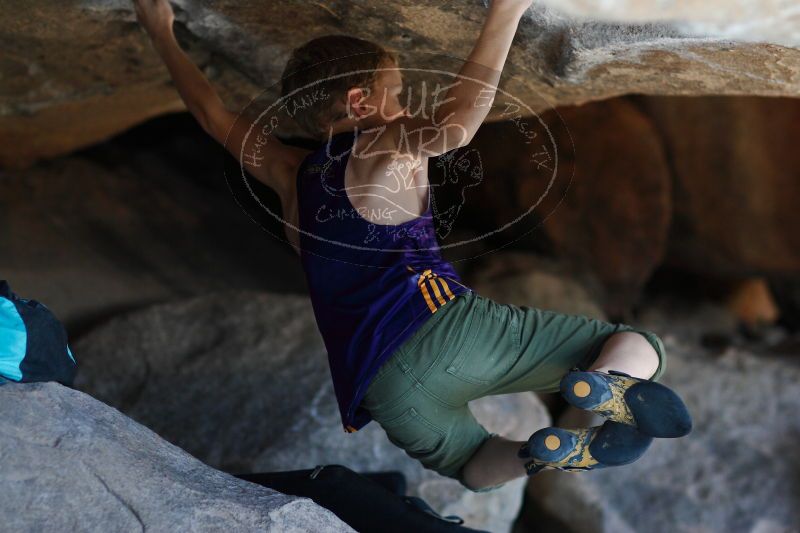 

Filename: SRM_20161228_1342344.jpg
Aperture: f/2.0
Shutter Speed: 1/1600
Body: Canon EOS-1D Mark II
Lens: Canon EF 85mm f/1.2 L II