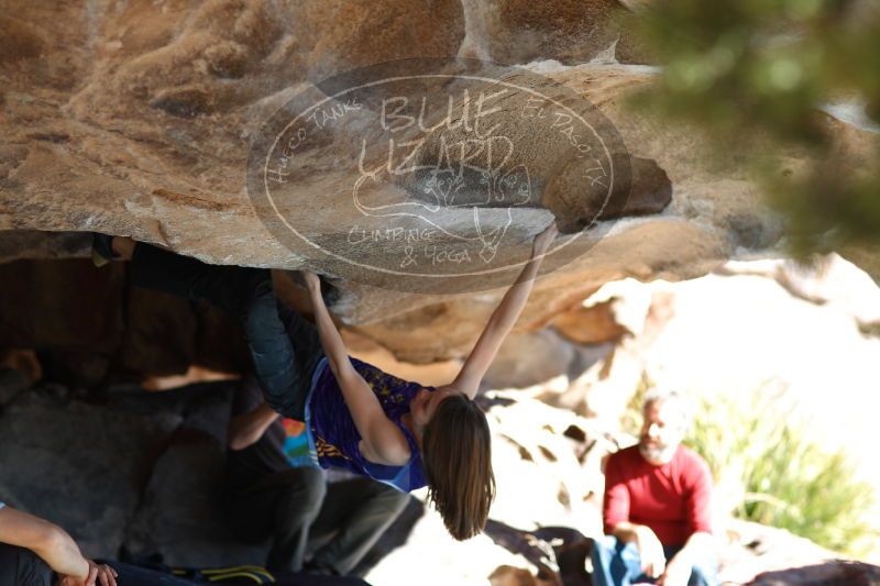 

Filename: SRM_20161228_1355180.jpg
Aperture: f/2.0
Shutter Speed: 1/640
Body: Canon EOS-1D Mark II
Lens: Canon EF 85mm f/1.2 L II