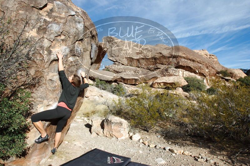 

Filename: SRM_20170112_1136420.jpg
Aperture: f/9.0
Shutter Speed: 1/320
Body: Canon EOS-1D Mark II
Lens: Canon EF 16-35mm f/2.8 L