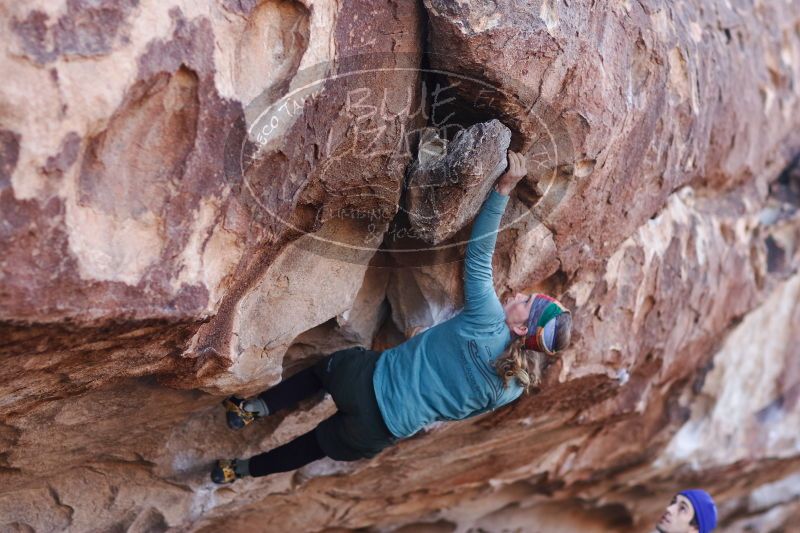 

Filename: SRM_20170103_1159270.jpg
Aperture: f/2.0
Shutter Speed: 1/1000
Body: Canon EOS-1D Mark II
Lens: Canon EF 85mm f/1.2 L II