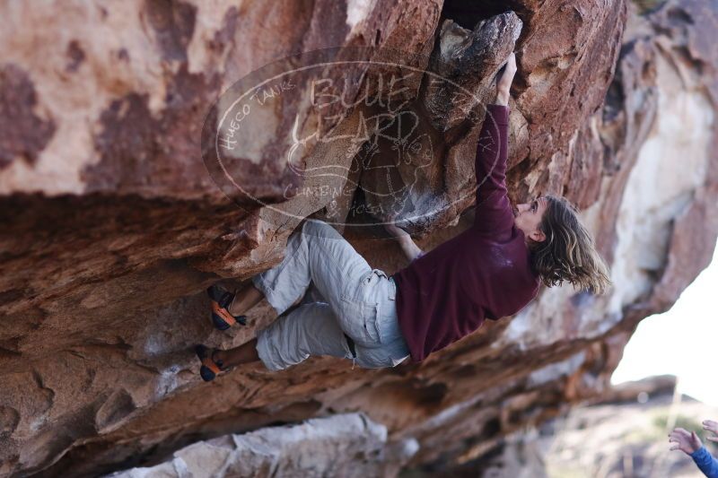 

Filename: SRM_20170103_1201191.jpg
Aperture: f/2.0
Shutter Speed: 1/1600
Body: Canon EOS-1D Mark II
Lens: Canon EF 85mm f/1.2 L II