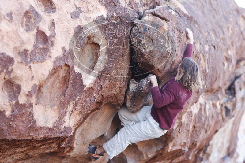 

Filename: SRM_20170103_1201340.jpg
Aperture: f/2.5
Shutter Speed: 1/640
Body: Canon EOS-1D Mark II
Lens: Canon EF 85mm f/1.2 L II